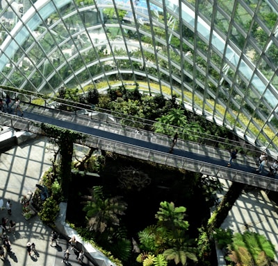 architectural photography of glass building