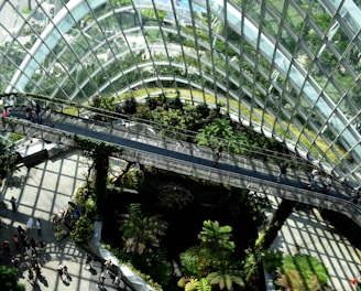 architectural photography of glass building