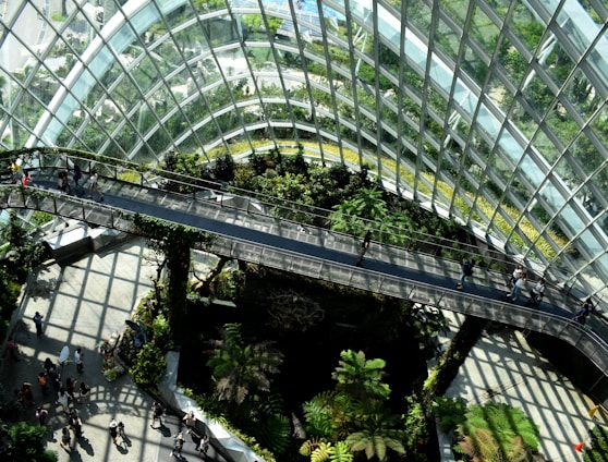 architectural photography of glass building