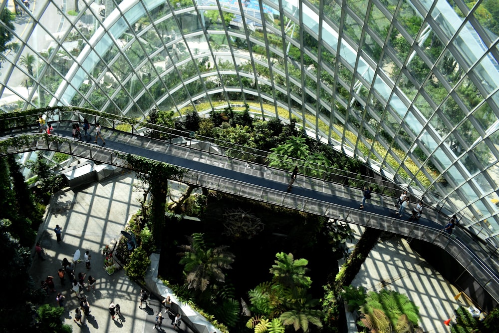 architectural photography of glass building