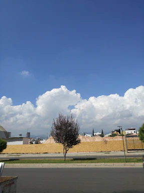 Close-up of a lot marker with clear sky and trees in the background.