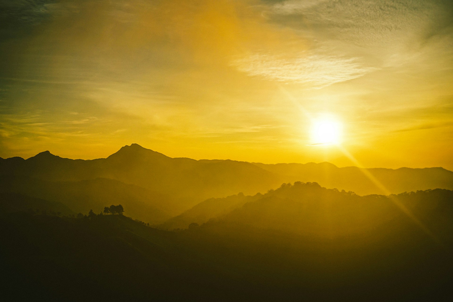woman wearing yellow long-sleeved dress under white clouds and blue sky during daytime