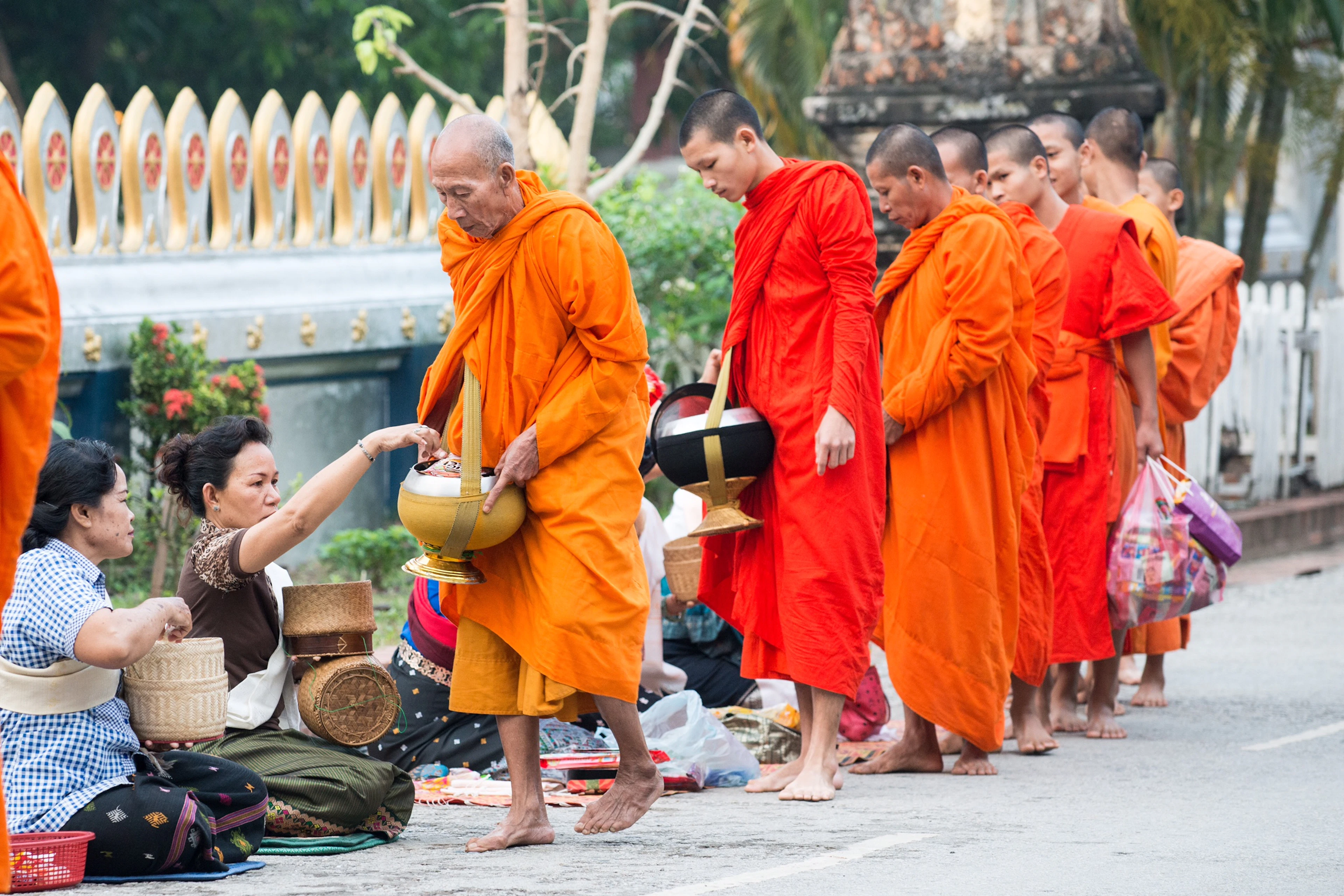Buddhist monks in saffron robes collecting morning alms in Luang Prabang, Laos