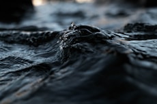 close up photo of black water at daytime