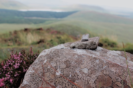 brown stone fragment on brown rock in Connemara National Park Ireland