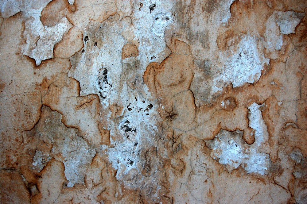 a close up of a wall with peeling paint