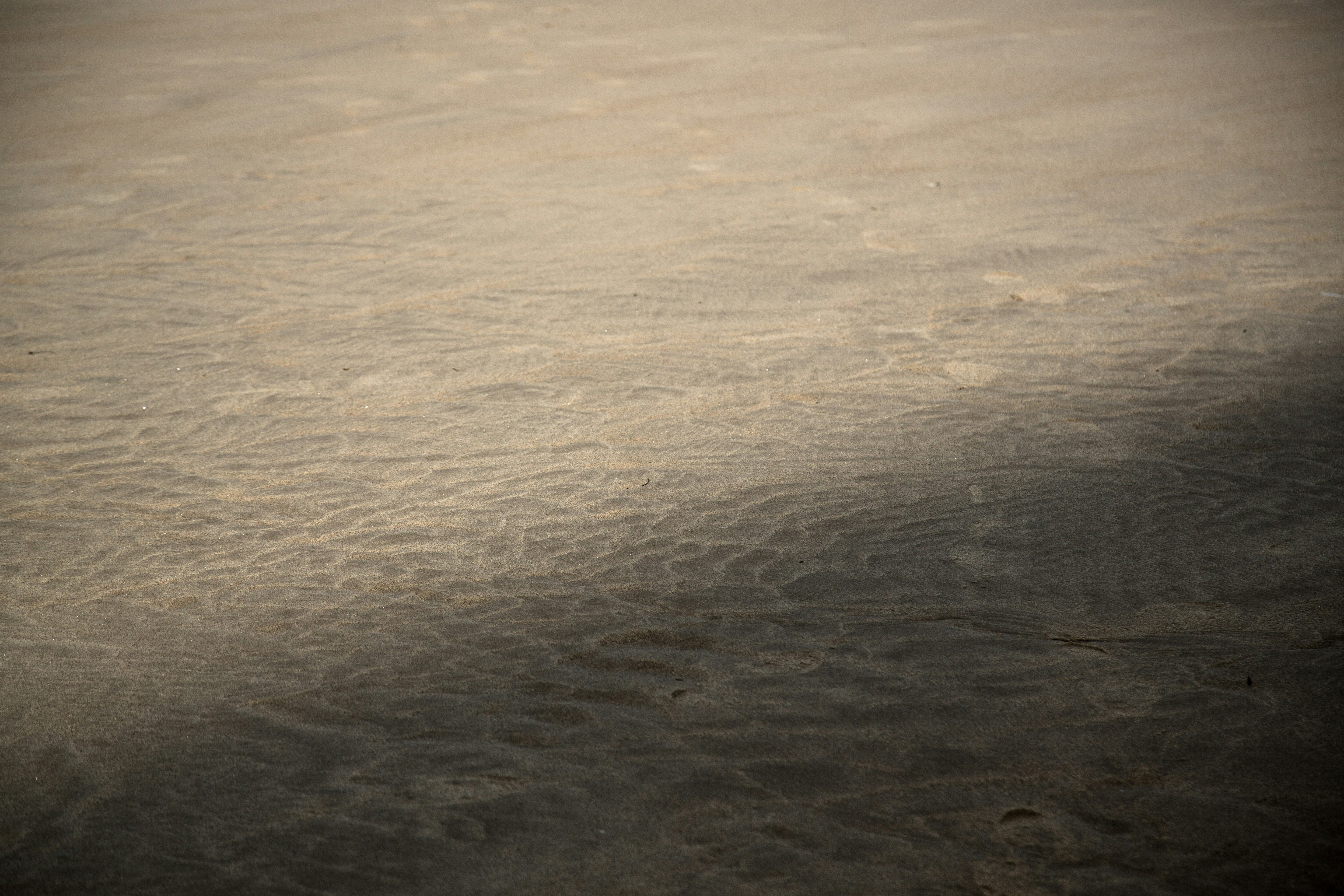 Photo by shaundarwood