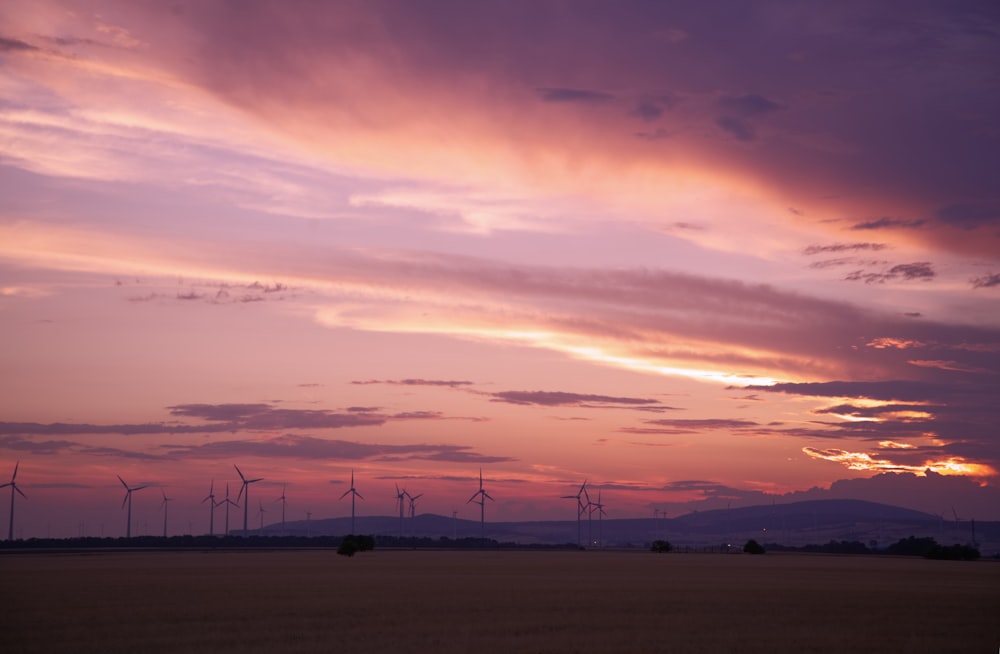 photography of wind will during sunset