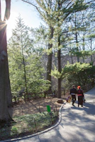 Soizic Z walking a wooded trail with accordion case on her back.