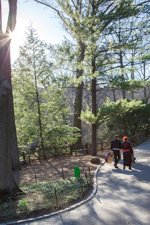 A scenic photo of Silvan walking through a sunlit forest, guitar case in hand.