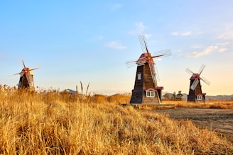 three brown windmill on crop field