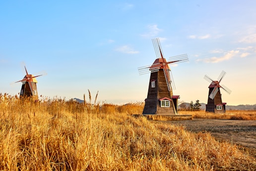 three brown windmill on crop field