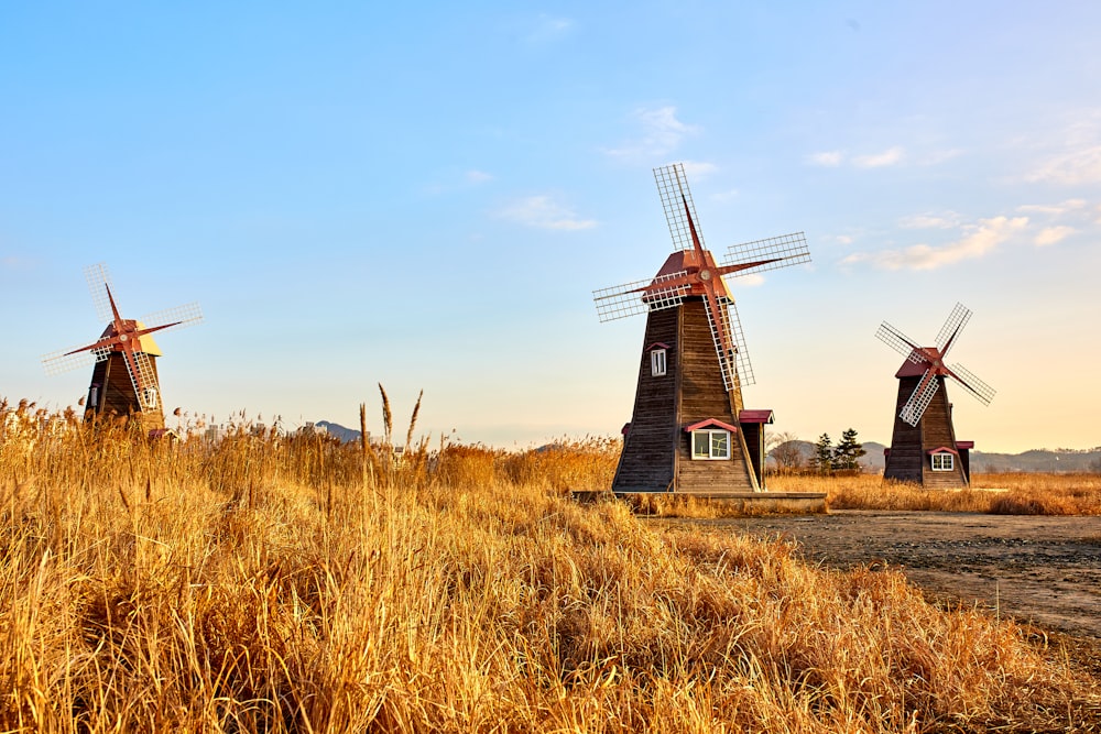 Trois moulins à vent bruns sur un champ de culture