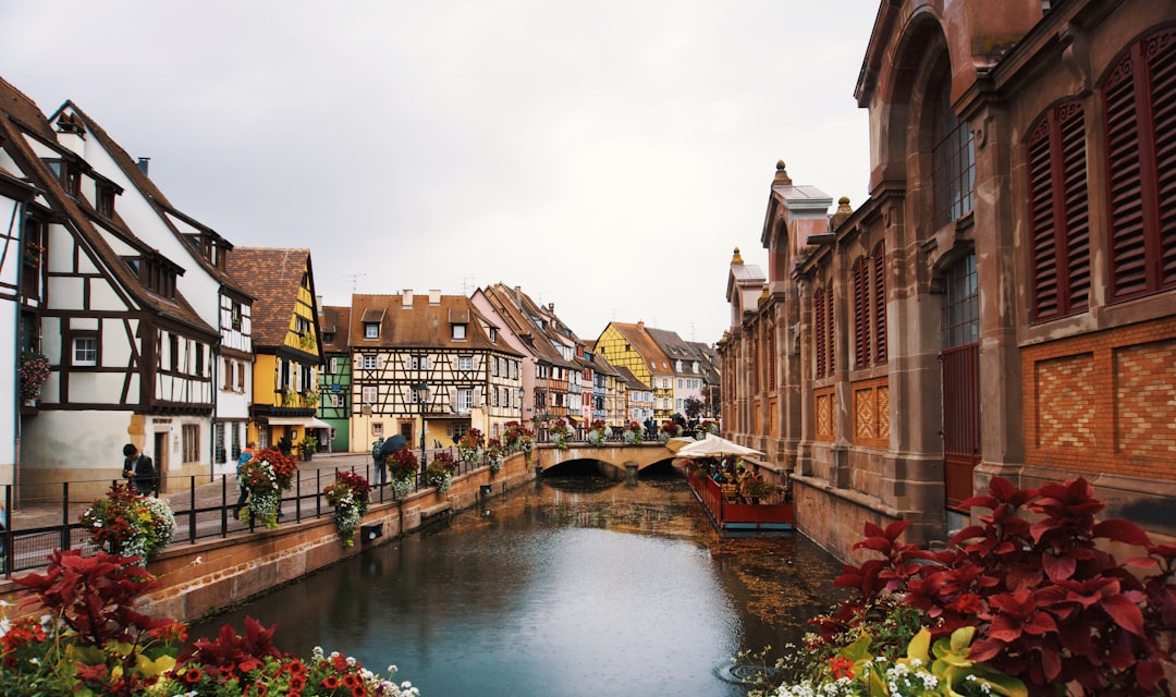 brown buildings near river,