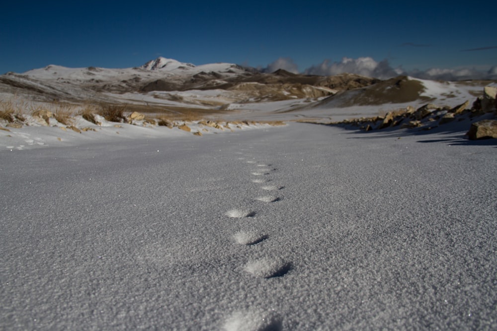 snow covered mountains under clear sky