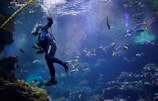 A scuba diver is swimming underwater surrounded by a variety of colorful fish. The diver appears to be exploring a vibrant coral reef environment. Sunlight filters through the surface, illuminating the aquatic scene with a mystical glow. The bubbles from the diver’s breathing apparatus rise towards the surface, adding dynamic movement to the composition.