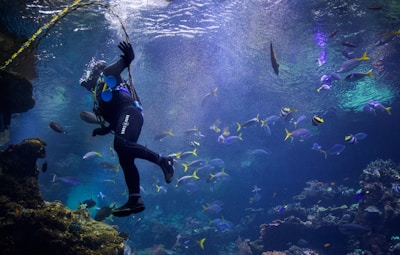 A scuba diver is swimming underwater surrounded by a variety of colorful fish. The diver appears to be exploring a vibrant coral reef environment. Sunlight filters through the surface, illuminating the aquatic scene with a mystical glow. The bubbles from the diver’s breathing apparatus rise towards the surface, adding dynamic movement to the composition.