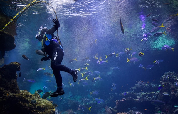 A scuba diver is swimming underwater surrounded by a variety of colorful fish. The diver appears to be exploring a vibrant coral reef environment. Sunlight filters through the surface, illuminating the aquatic scene with a mystical glow. The bubbles from the diver’s breathing apparatus rise towards the surface, adding dynamic movement to the composition.