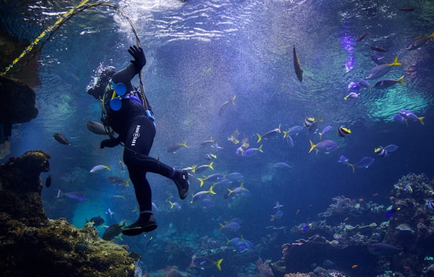 A scuba diver is swimming underwater surrounded by a variety of colorful fish. The diver appears to be exploring a vibrant coral reef environment. Sunlight filters through the surface, illuminating the aquatic scene with a mystical glow. The bubbles from the diver’s breathing apparatus rise towards the surface, adding dynamic movement to the composition.