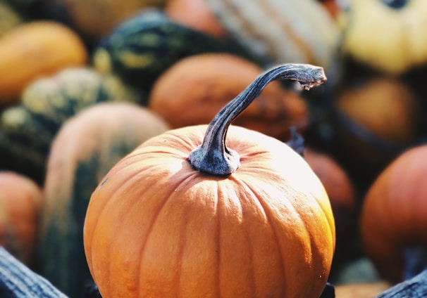 focus photography of pumpkin