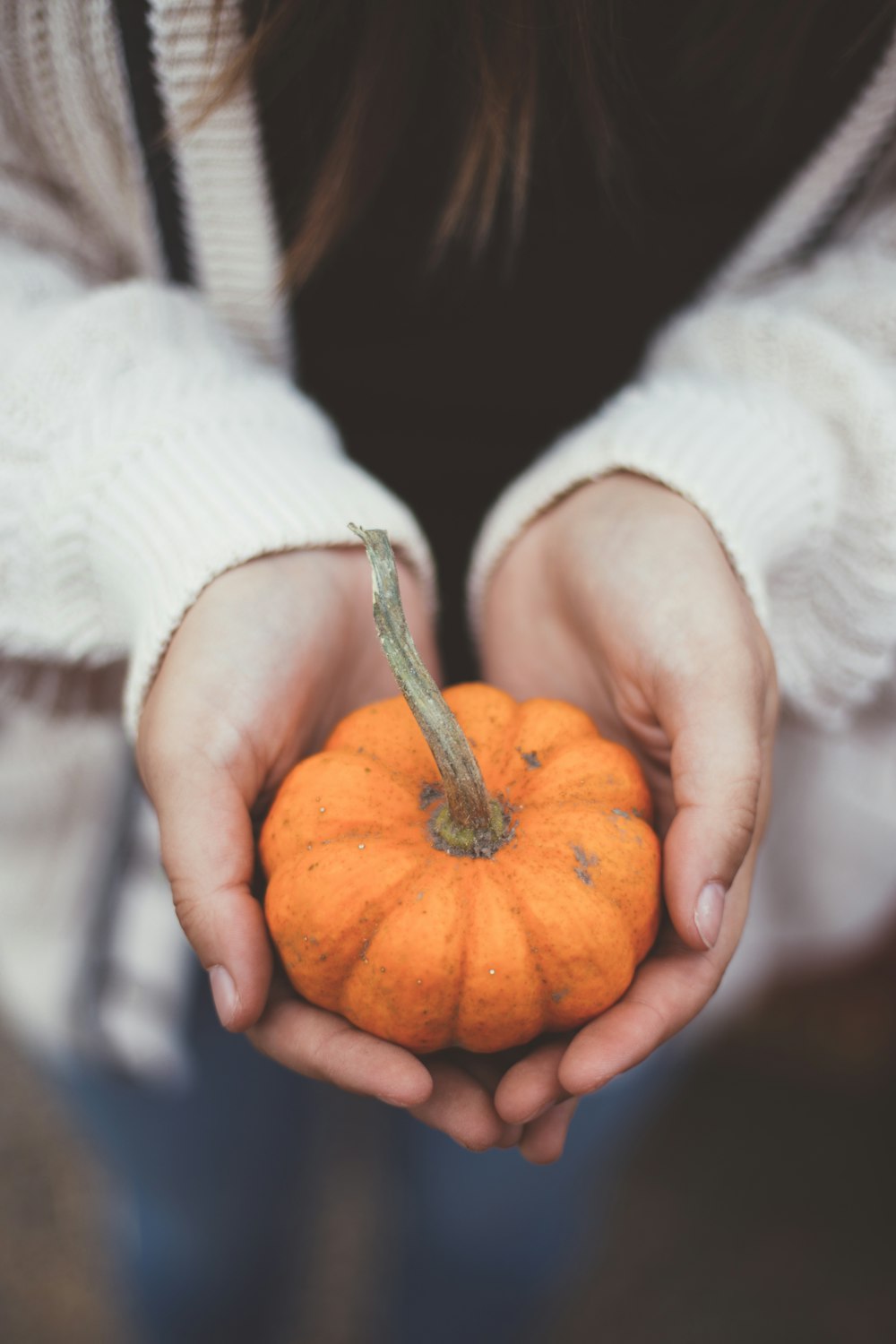 person holding pumpkin