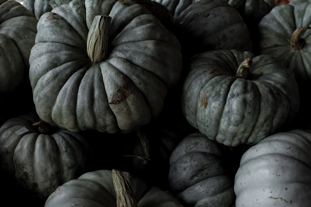 green squash lot