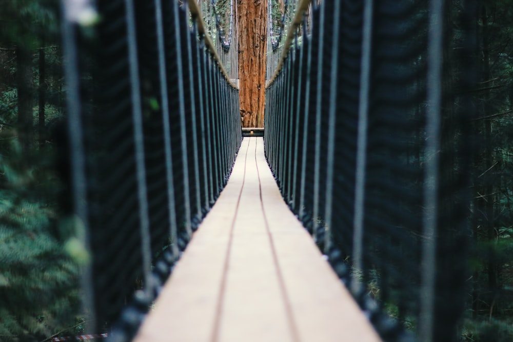 braune und schwarze Hängebrücke