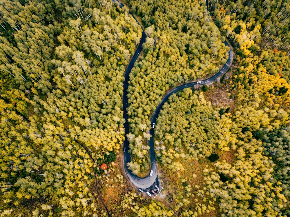 Vista dall'alto foto di strada ondulata con alberi durante il giorno