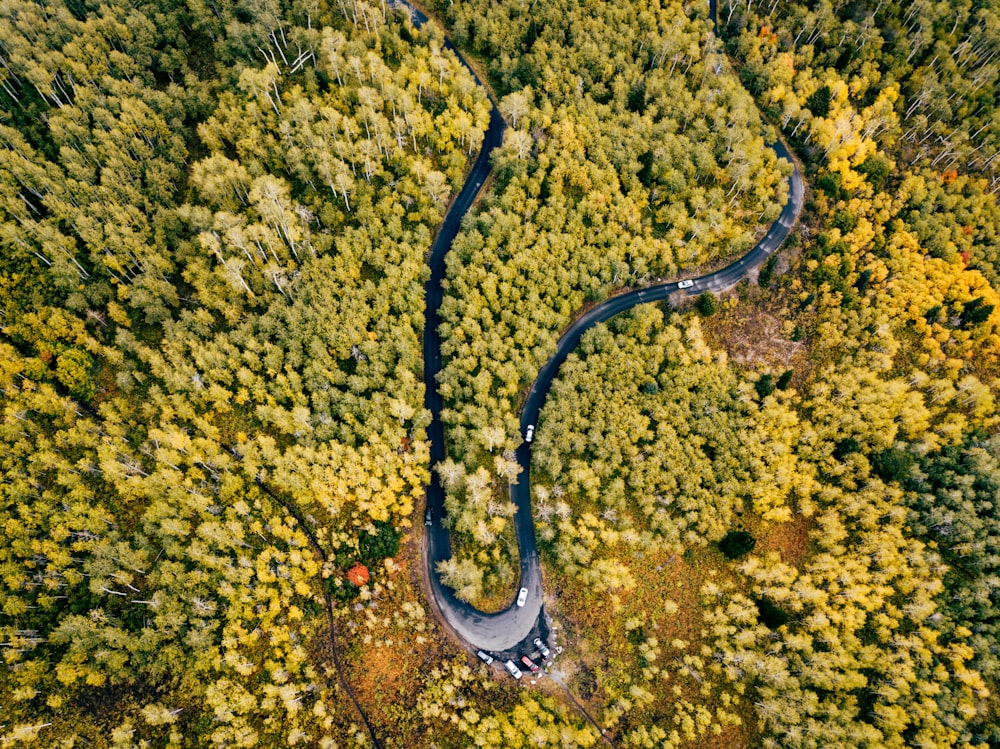 top view photo of wavy road with trees at daytime