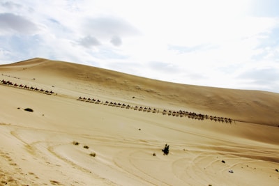 A vast desert landscape with gently rolling sand dunes under a partly cloudy sky. A long line of camels and riders traversing the slope of a large dune. The sand is fine and light, with subtle ripples and scattered small bushes.