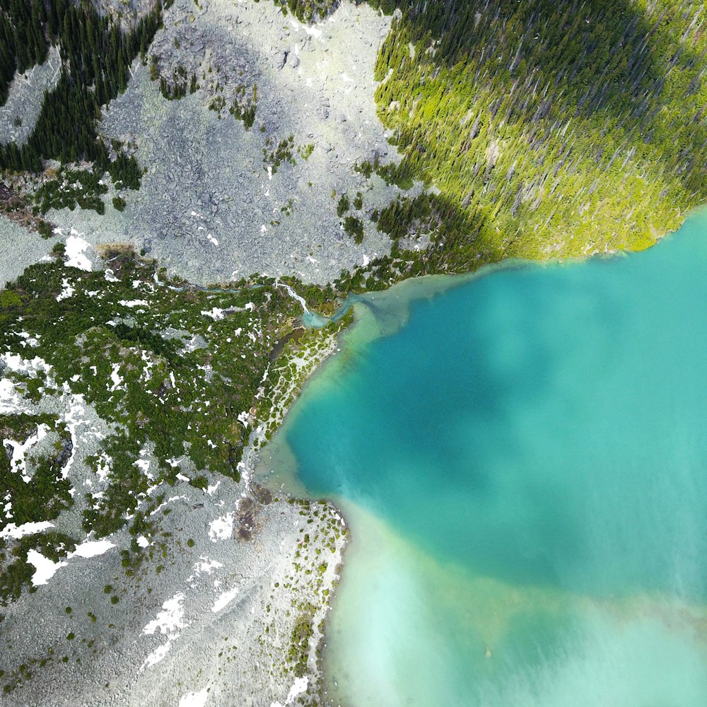 Draufsichtsfotografie von grünen Kiefern auf Bergen neben blauem Meer bei Tag