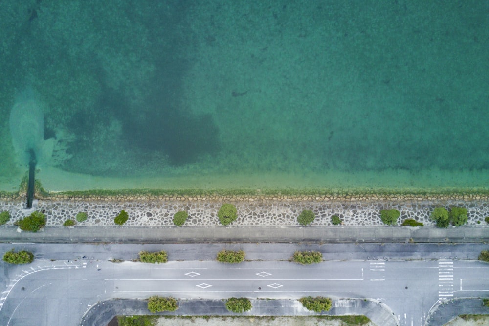 Photographie d’oiseau d’une route près d’un plan d’eau