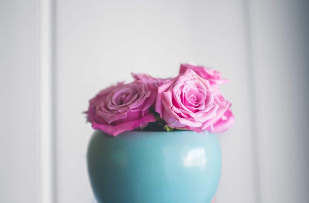 pink roses on teal ceramic vase