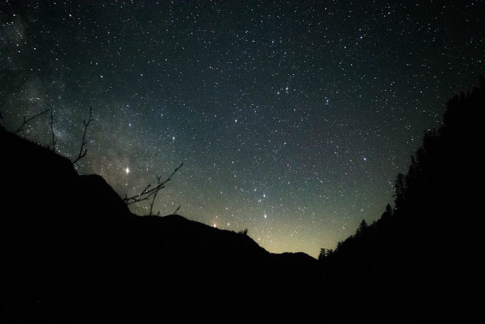 silhouette of trees and mountain undre green and blue starry night sky