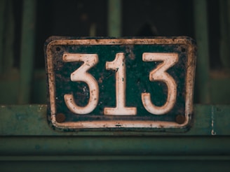 A vintage, weathered metal sign displays the number 313. The sign is dark green in color with large white numerals, and it shows signs of rust and wear. The background is a blurred shade of green, suggesting it is attached to an old gate or structure.