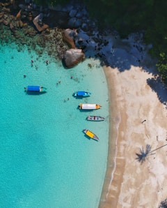 travel smart, fun and affordable with explorica