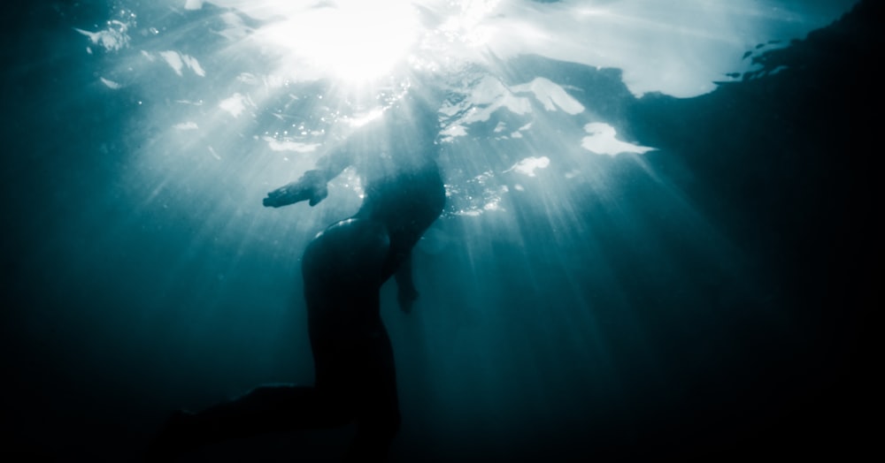 underwater photography of woman