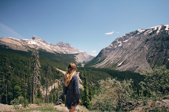 woman standing in front of mountain range under clear blue sky during daytime in Icefields Parkway Canada