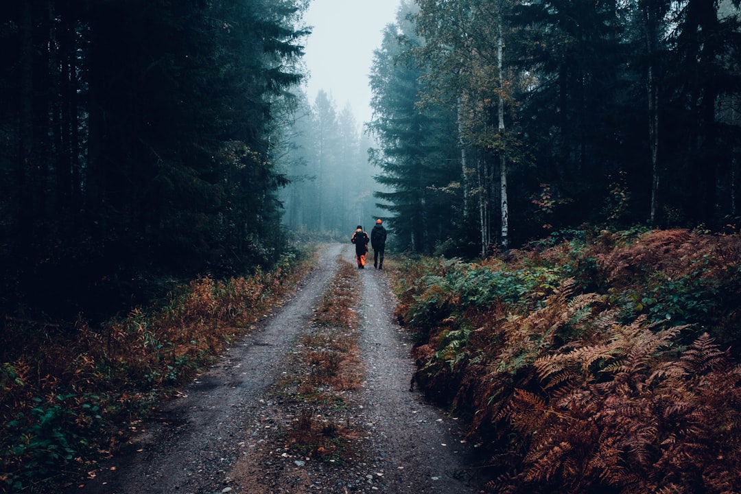 two person walking in between tall trees during cloudy sky,