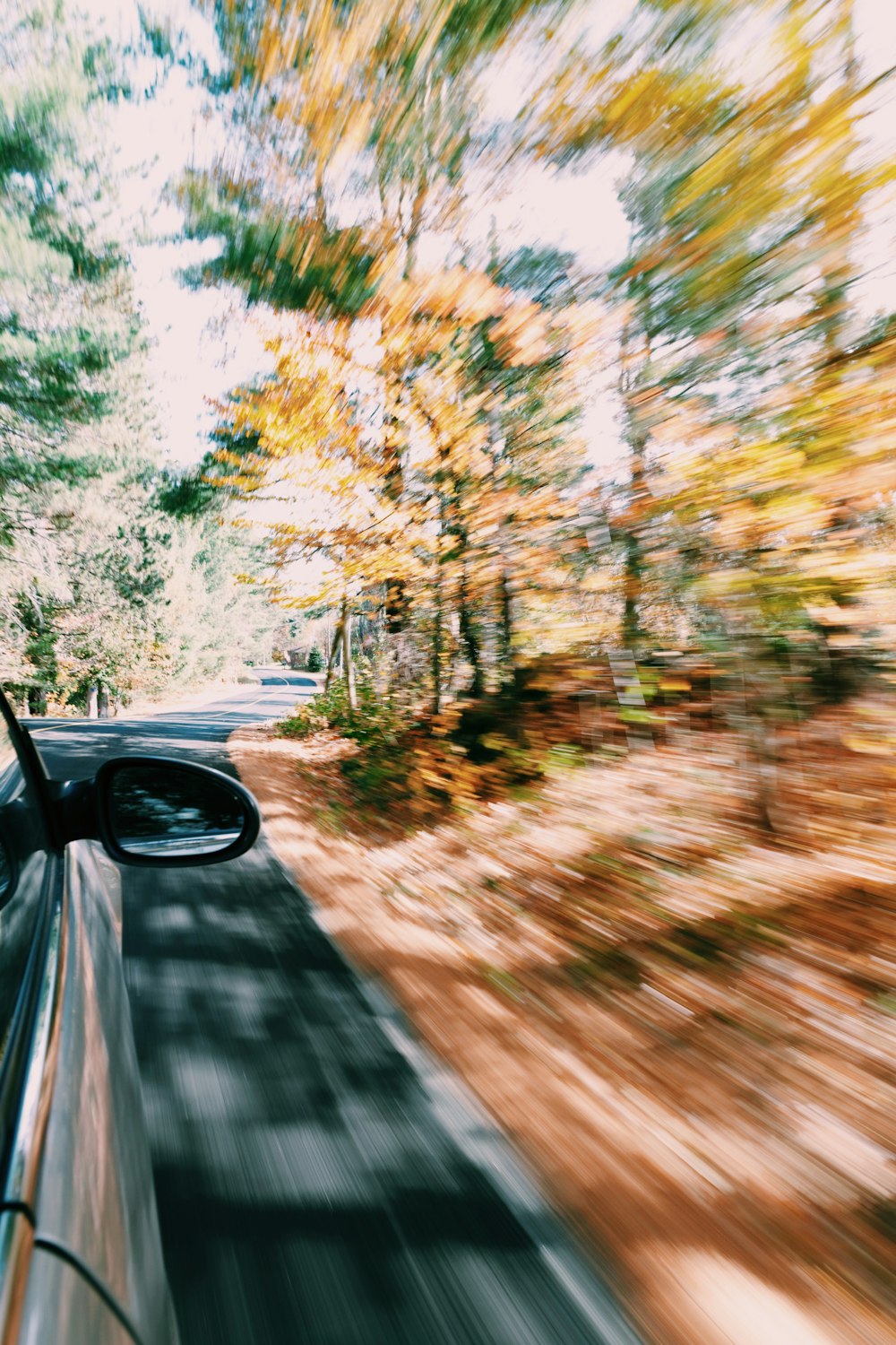 木々が映し出される走行車両