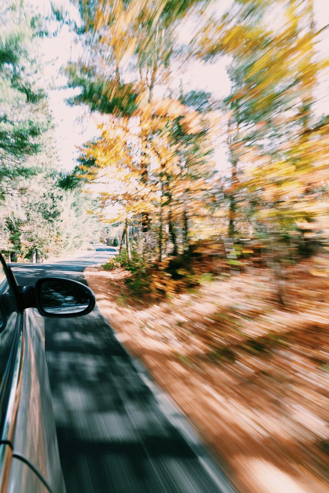 travelers stories about Forest in Huntsville, Canada