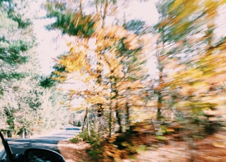 running vehicle showing trees