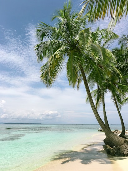 Beautiful clear turquoise beach in Mexico