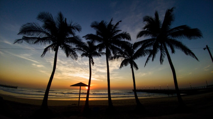 Silhouettes of tall palm trees are set against a breathtaking sunset over the ocean. The sky displays a gradient of colors from deep blue at the top to warm orange near the horizon. Gentle waves ripple across the water, and a pier extends out into the sea, creating a peaceful seaside atmosphere.