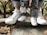 Two pairs of feet, one adult and one child, are wearing matching white sneakers. The adult is wearing cuffed jeans, and the child is in grey pants with star patterns and a rabbit print. The feet are positioned on a stone step with dry leaves scattered around, and there are some ornamental plants in the background behind a black metal fence.