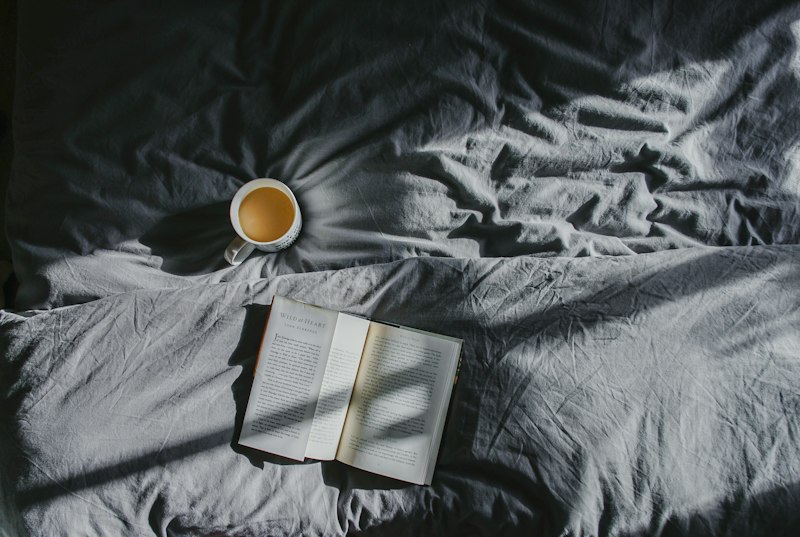 E-book Sono em Ordem