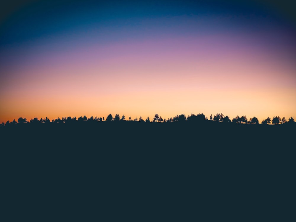 silhouette photo of trees at sunset