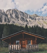 brown wooden cabin infront of forest