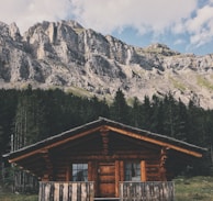 brown wooden cabin infront of forest