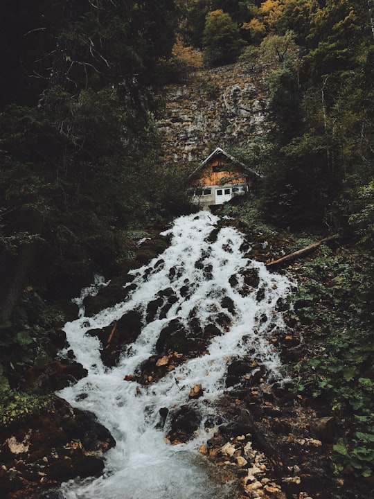 photo of Bucegi Natural Park Waterfall near Bran